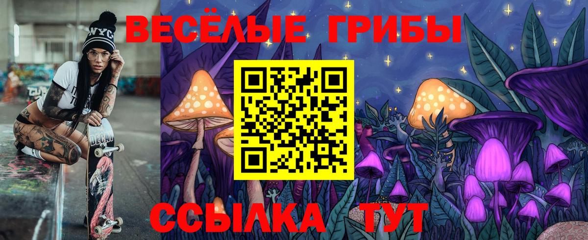 Галлюциногенные грибы Psilocybine cubensis Лысьва